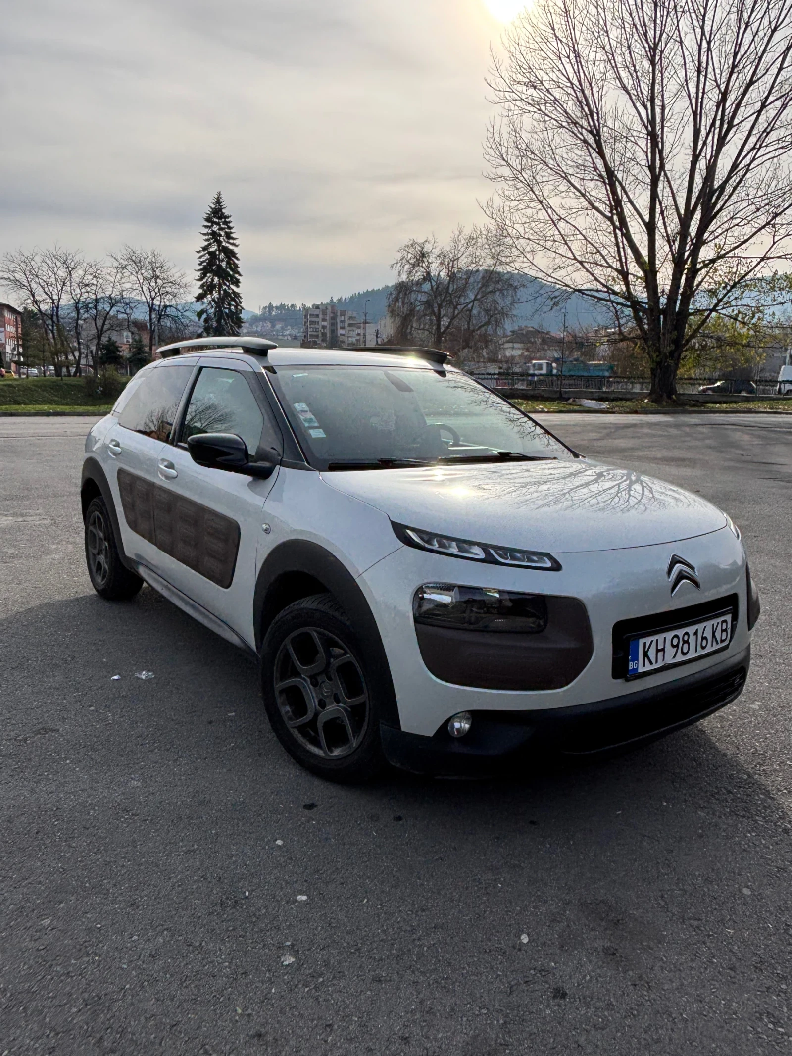 Citroen C4 Cactus  - изображение 2