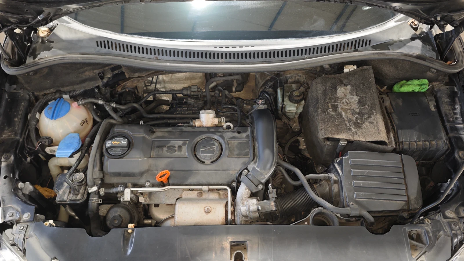 Seat Altea 1.4 FSI - изображение 2