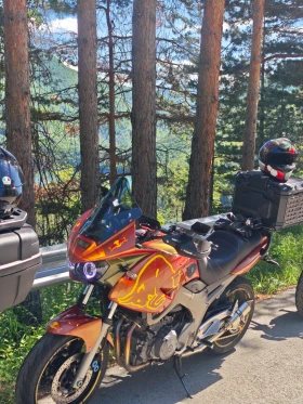 Yamaha Tdm 900, снимка 3