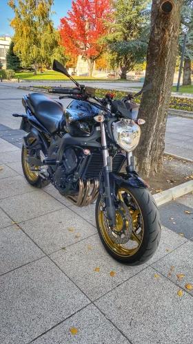  Yamaha FZ6