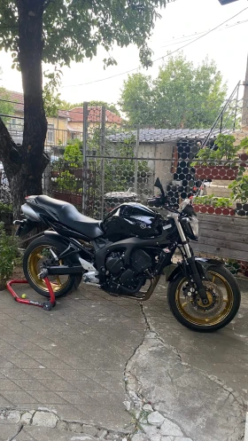  Yamaha FZ6