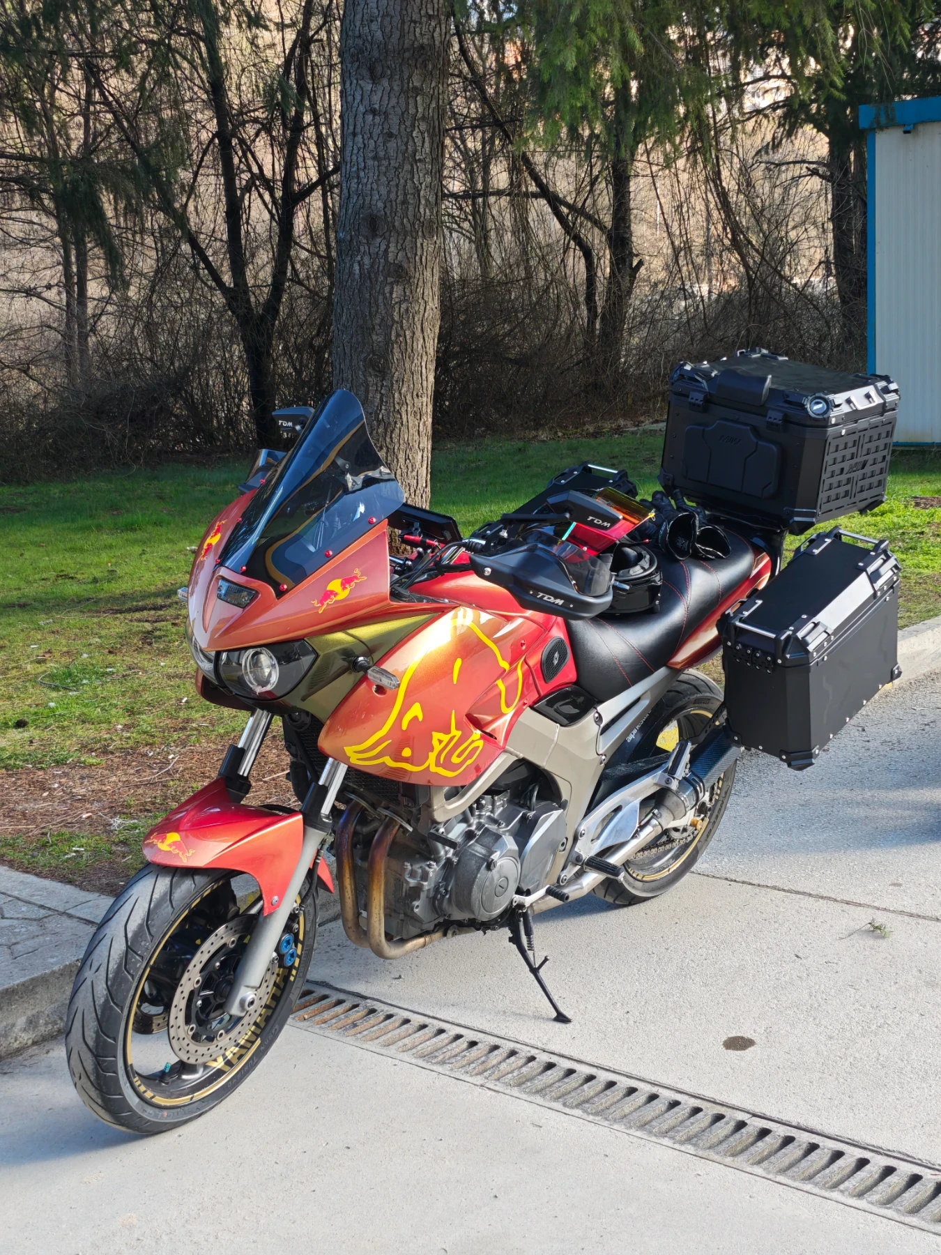 Yamaha Tdm 900