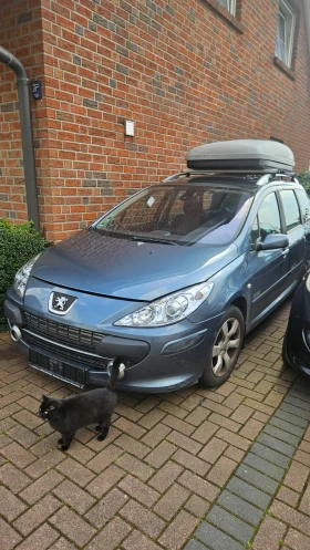     Peugeot 307