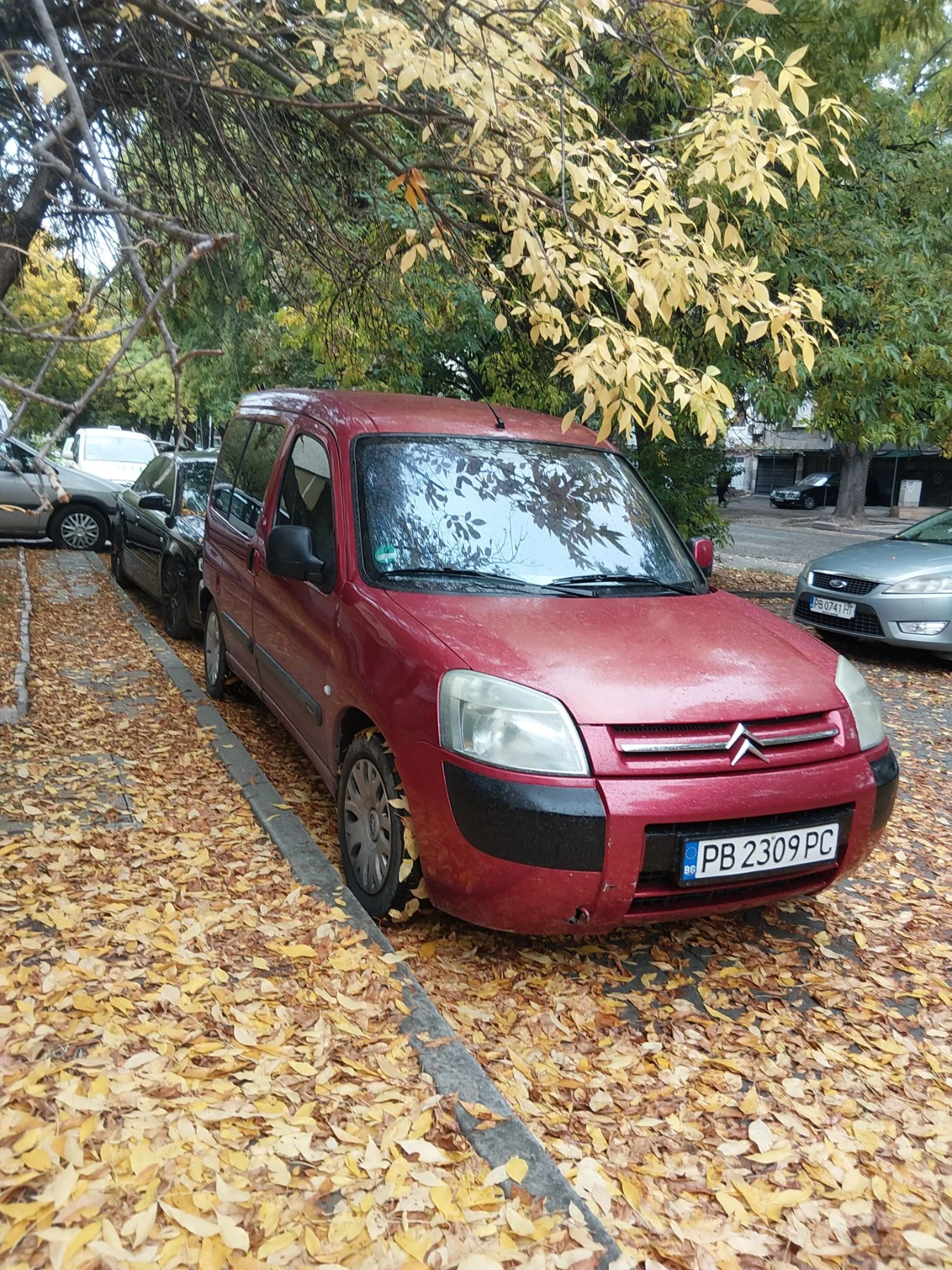 Citroen Berlingo 2.0 HDI, снимка 2 - Автомобили и джипове - 56477945