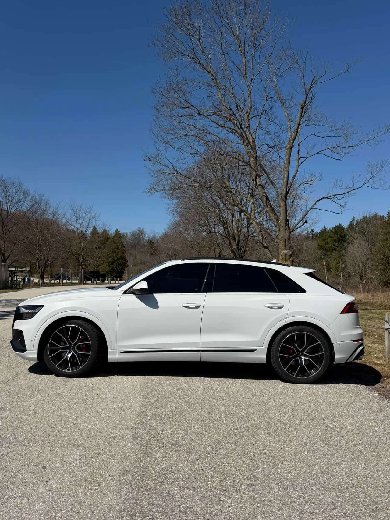 Audi SQ8 4.0 TFSI quattro  CARFAX | Mobile.bg � ����������� 2