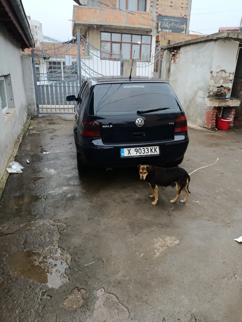 VW Golf, снимка 5 - Автомобили и джипове - 49400124