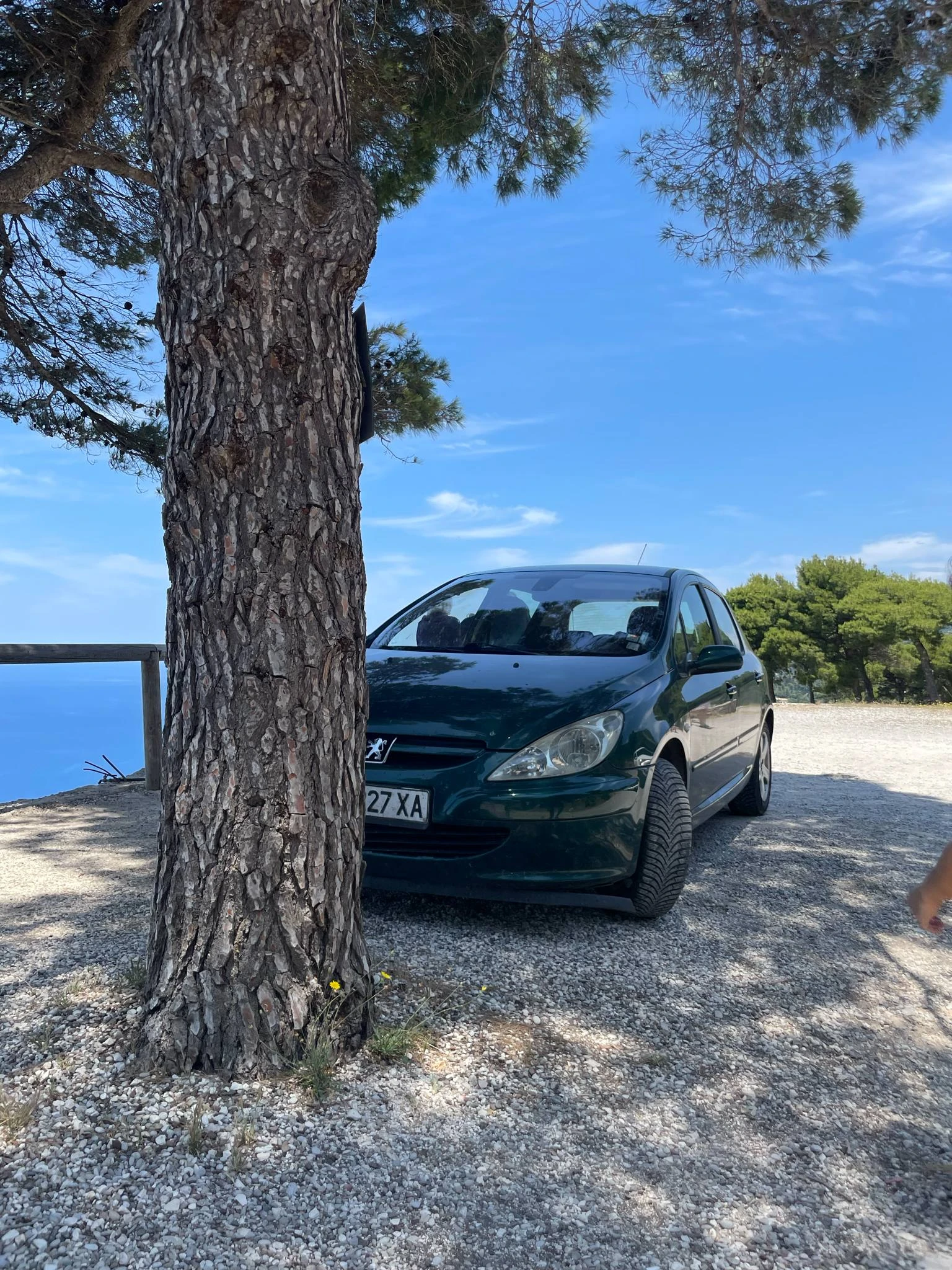 Peugeot 307 Първи собственик, снимка 17 - Автомобили и джипове - 54137275