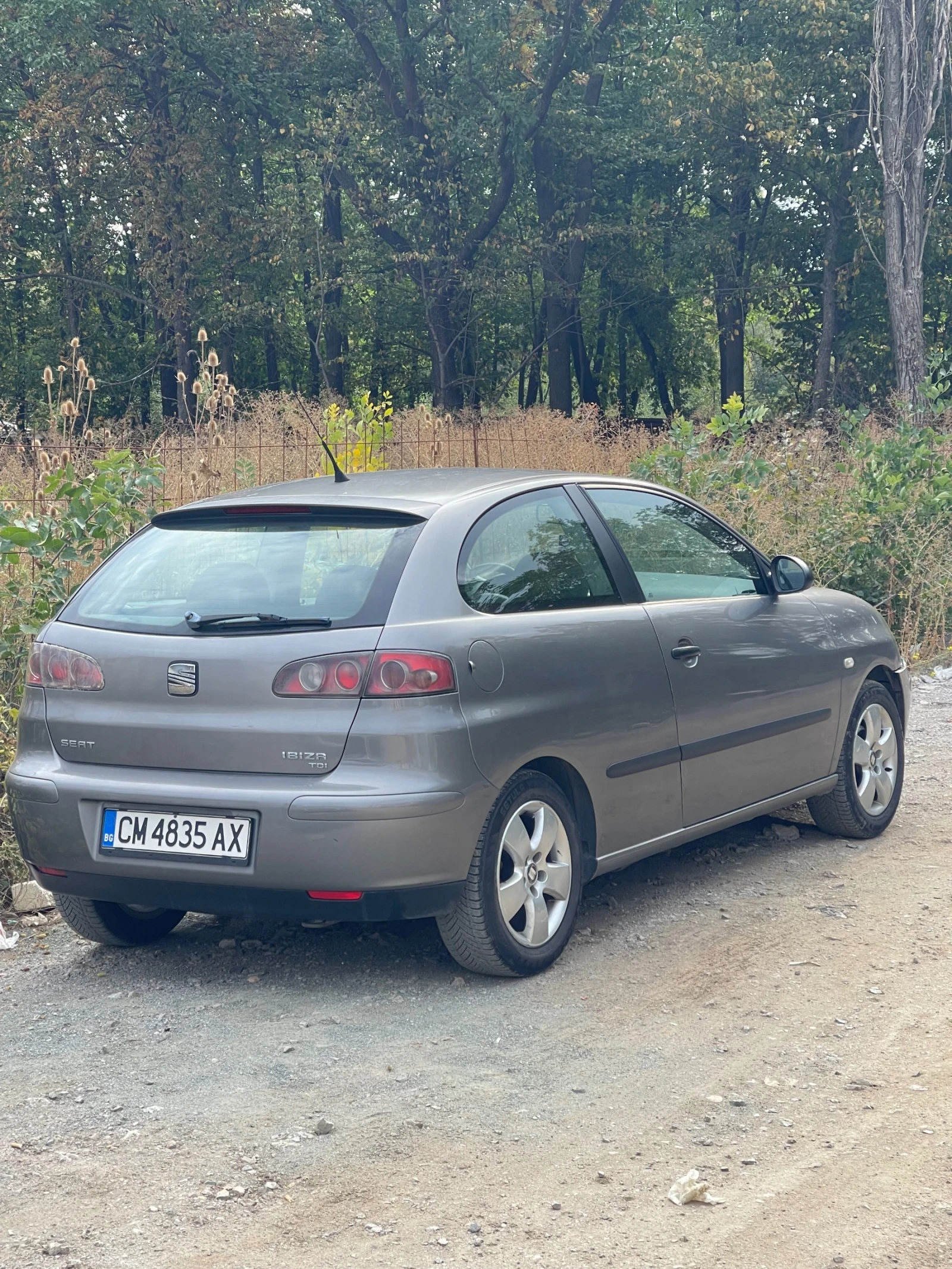Seat Ibiza, снимка 4 - Автомобили и джипове - 56266774