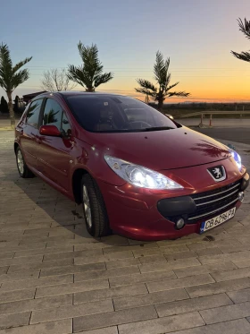 Peugeot 307 RC, снимка 5