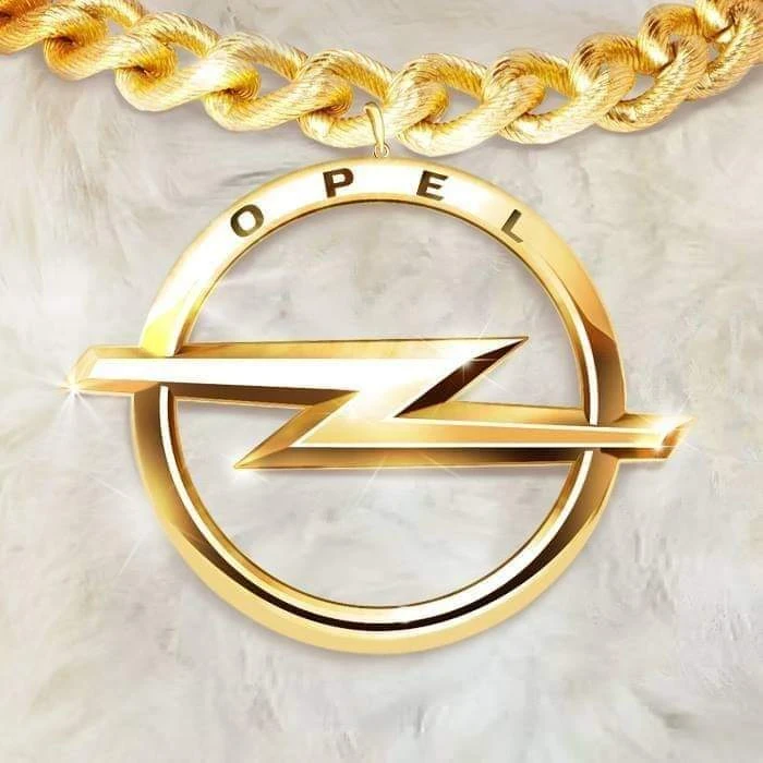 Opel Signum 3.2 | Mobile.bg   15