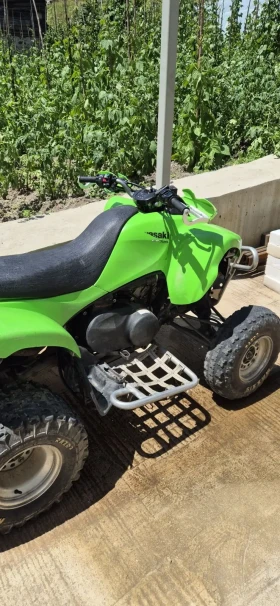 Kawasaki Kfx 700, снимка 2
