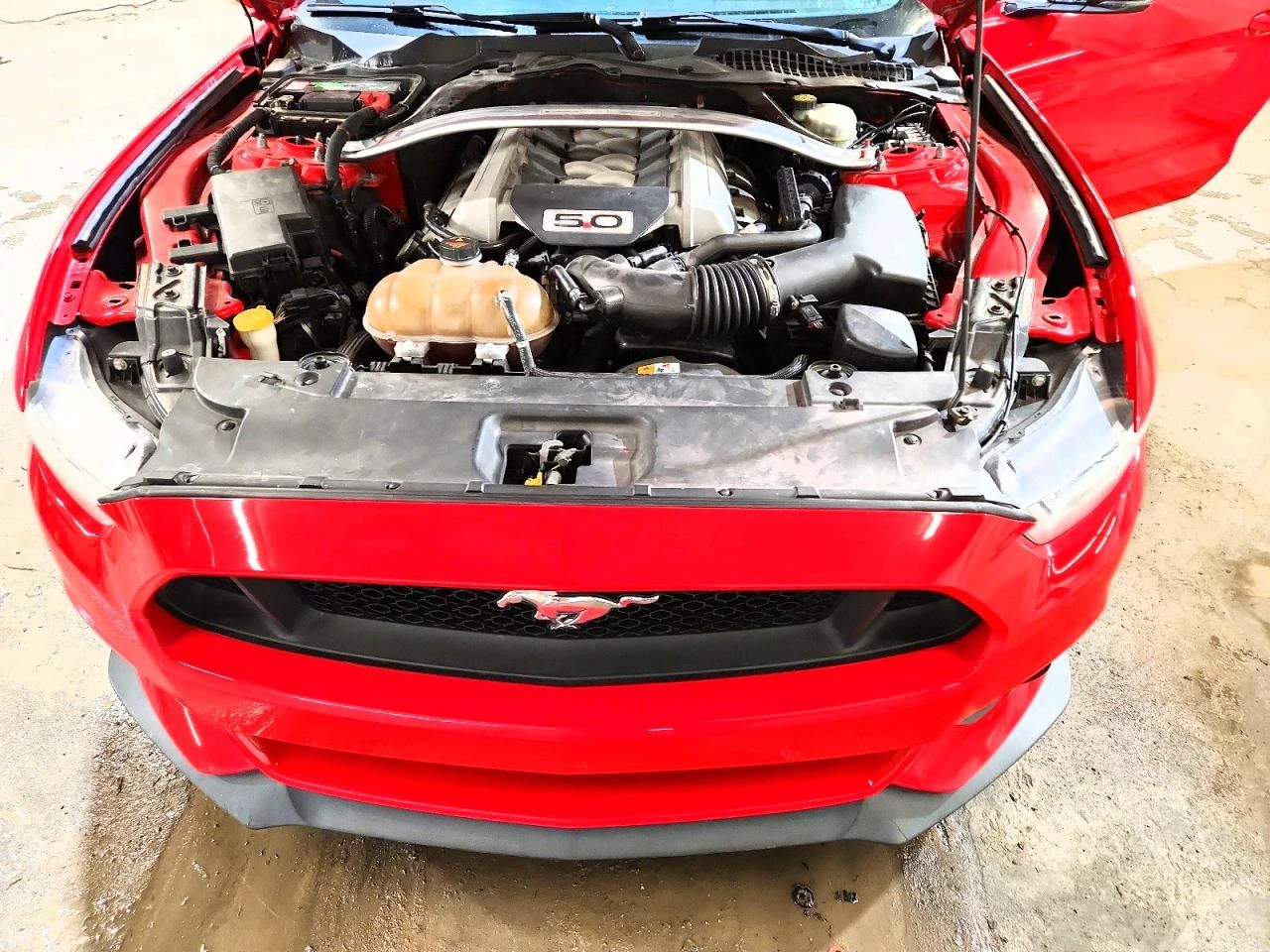 Ford Mustang 5.0l Gt, снимка 11 - Автомобили и джипове - 54445830