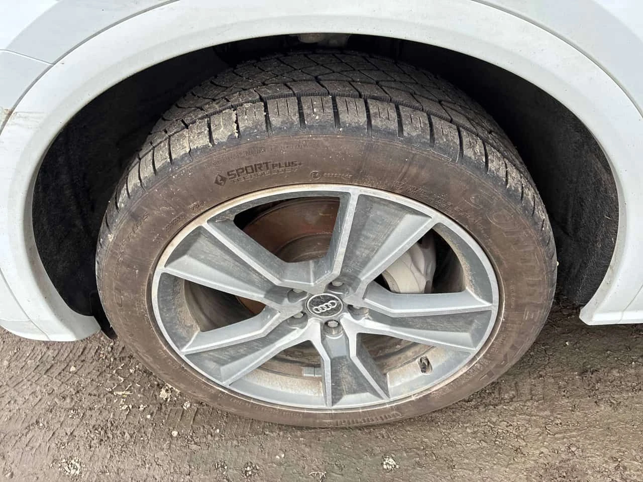 Audi Q5  | TECHNIK | S-LINE | DISTRONIC | LED | ���������  | Mobile.bg � ����������� 7