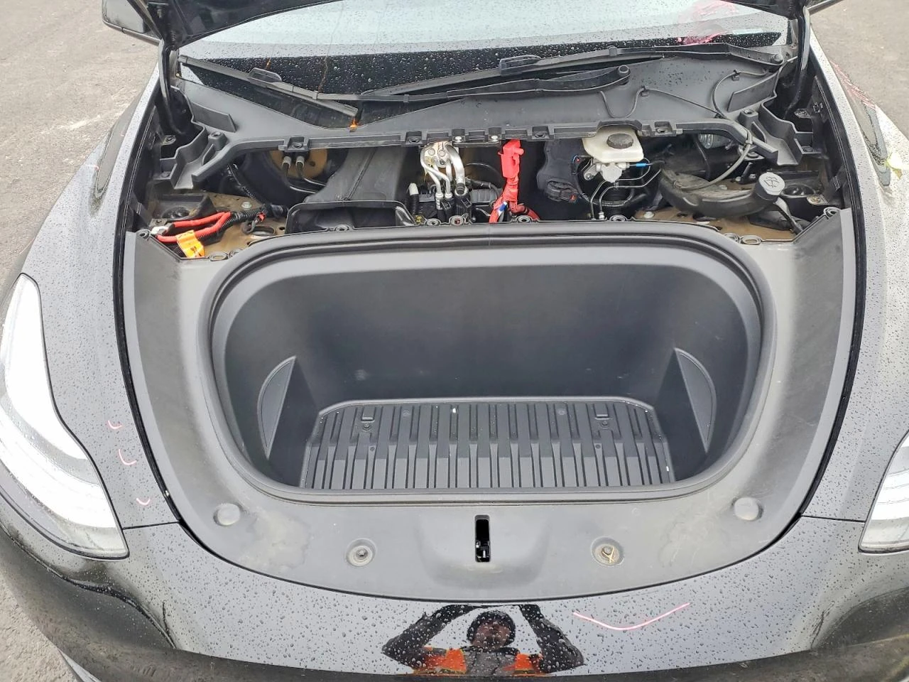 Tesla Model Y, снимка 11 - Автомобили и джипове - 54599592