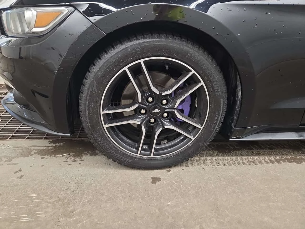 Ford Mustang * V6 * CARFAX * , снимка 17 - Автомобили и джипове - 55508605