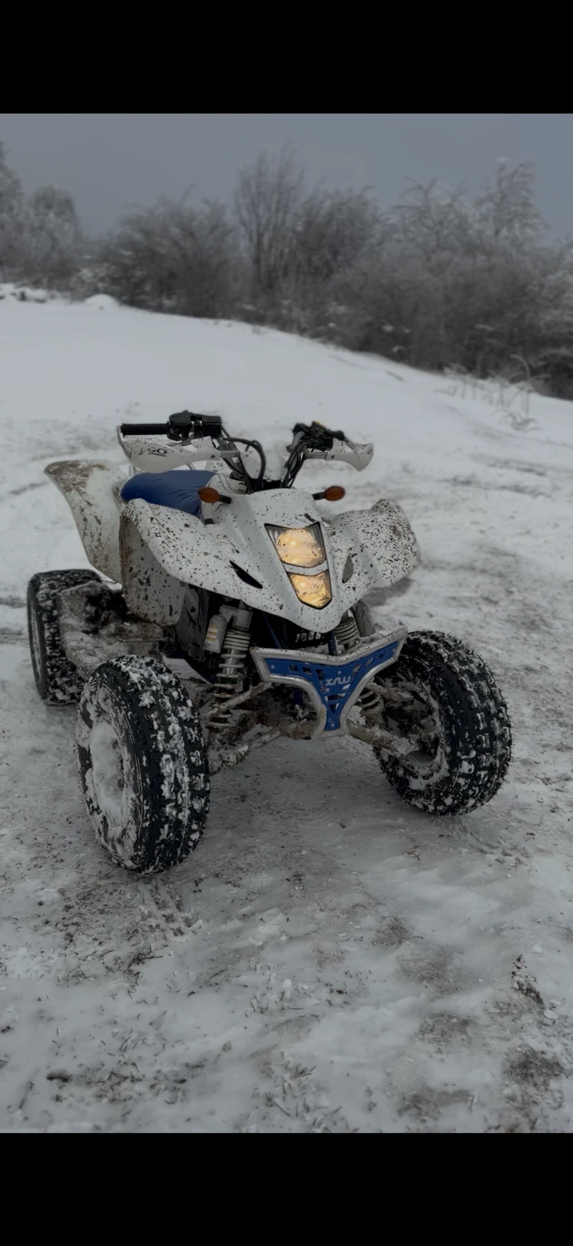 Suzuki QuadSport LT-Z 400 | Mobile.bg � ����������� 14