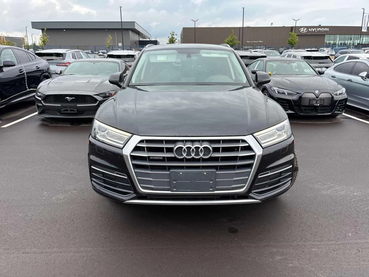 Audi Q5 * Komfort * CARFAX * �� ���������������� *  | Mobile.bg � ����������� 6