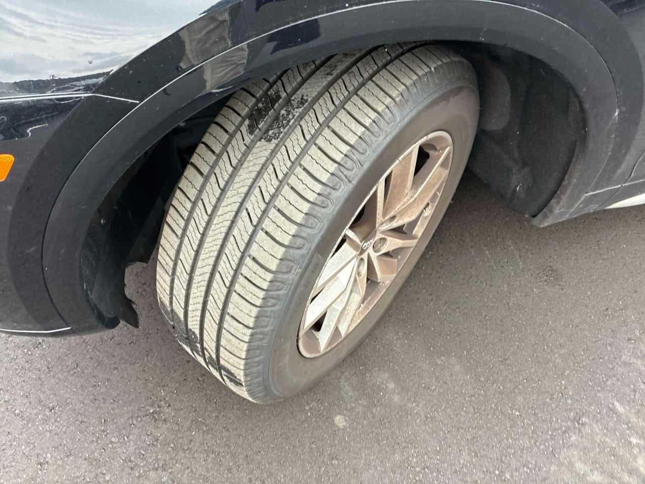 Audi Q5 * Komfort * CARFAX * �� ���������������� *  | Mobile.bg � ����������� 7