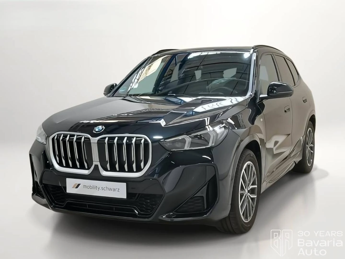 BMW X1 20d xDrive M Sport Paket