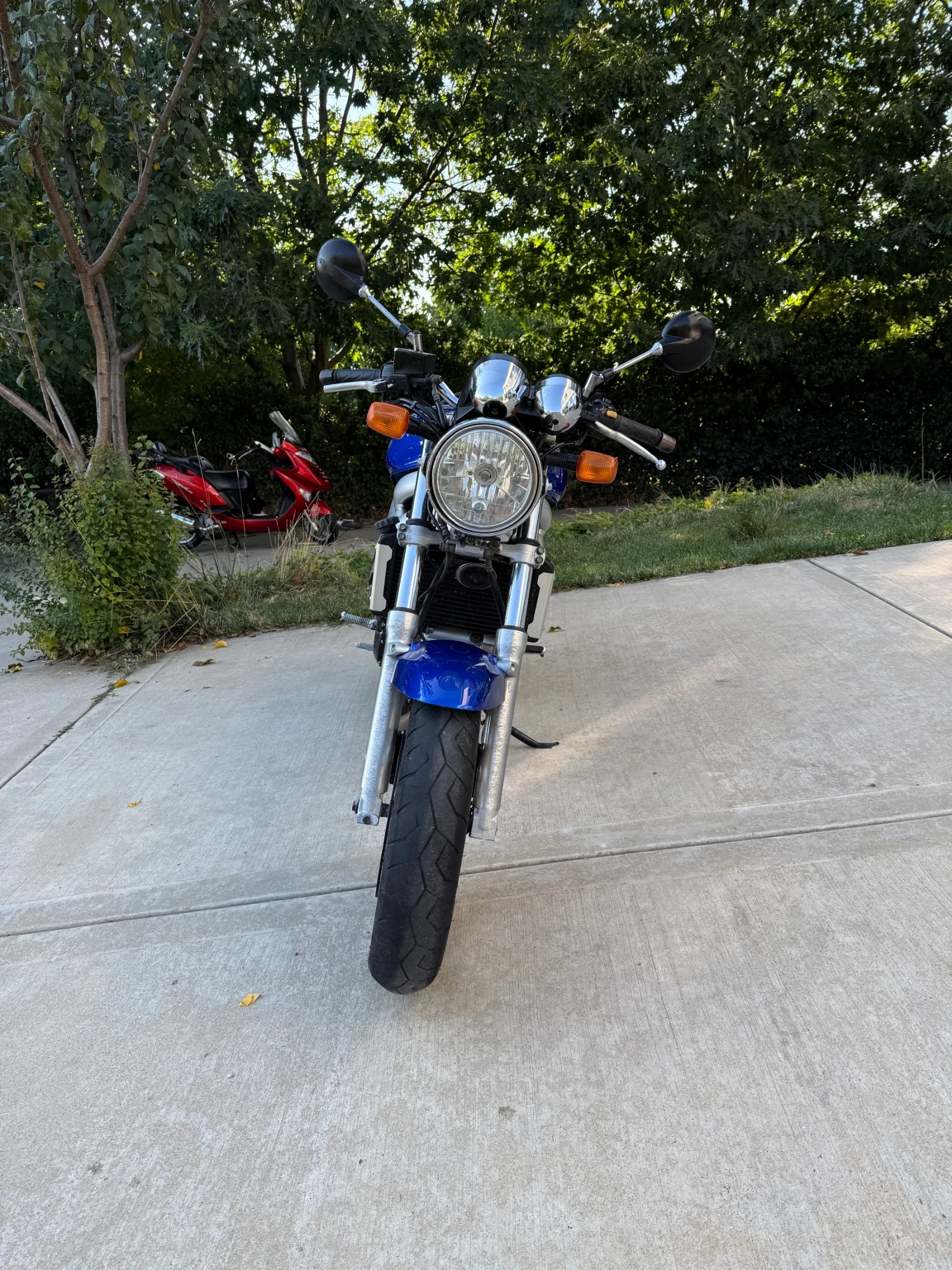 Suzuki SV  - изображение 3