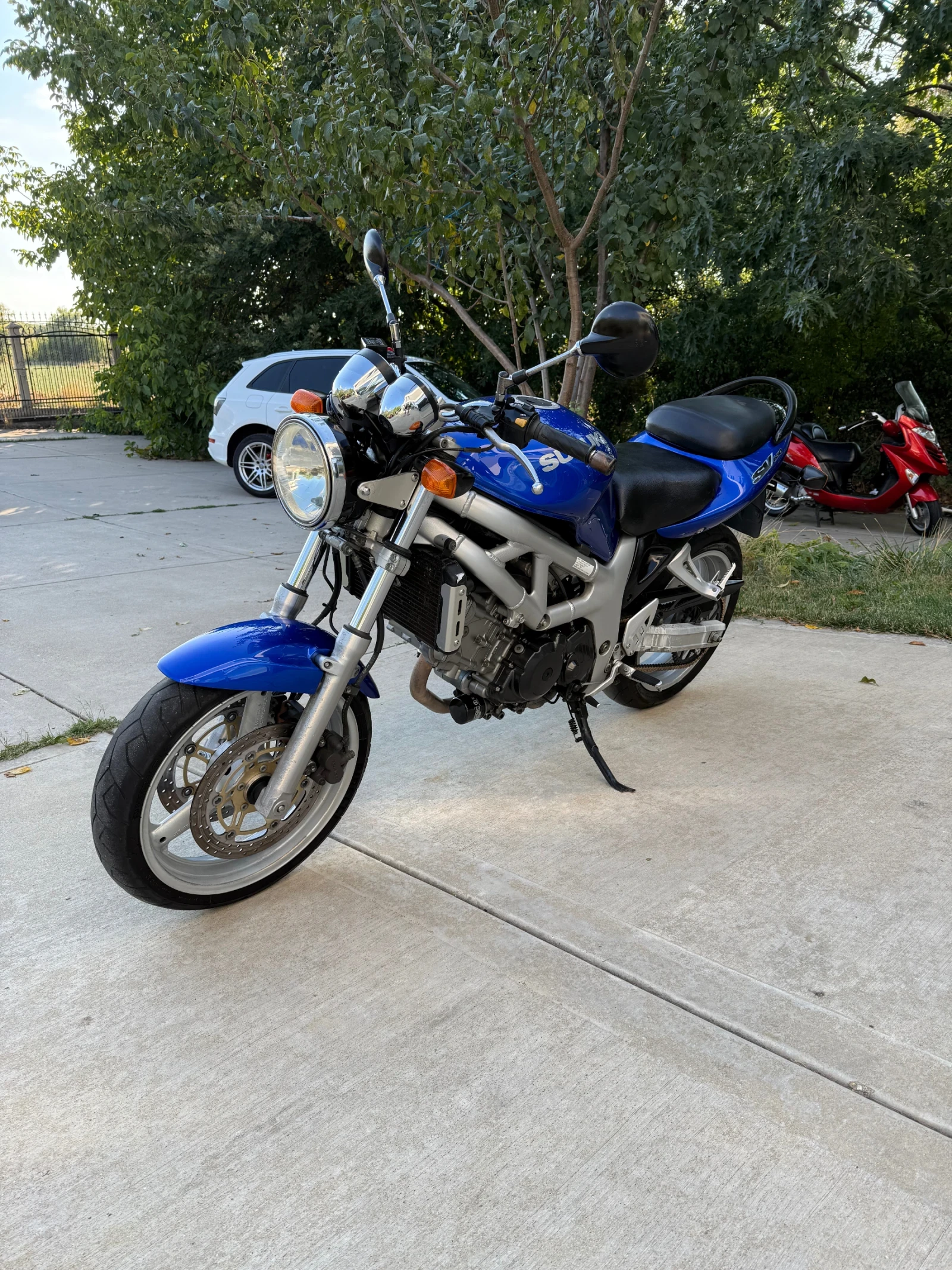 Suzuki SV  - изображение 4