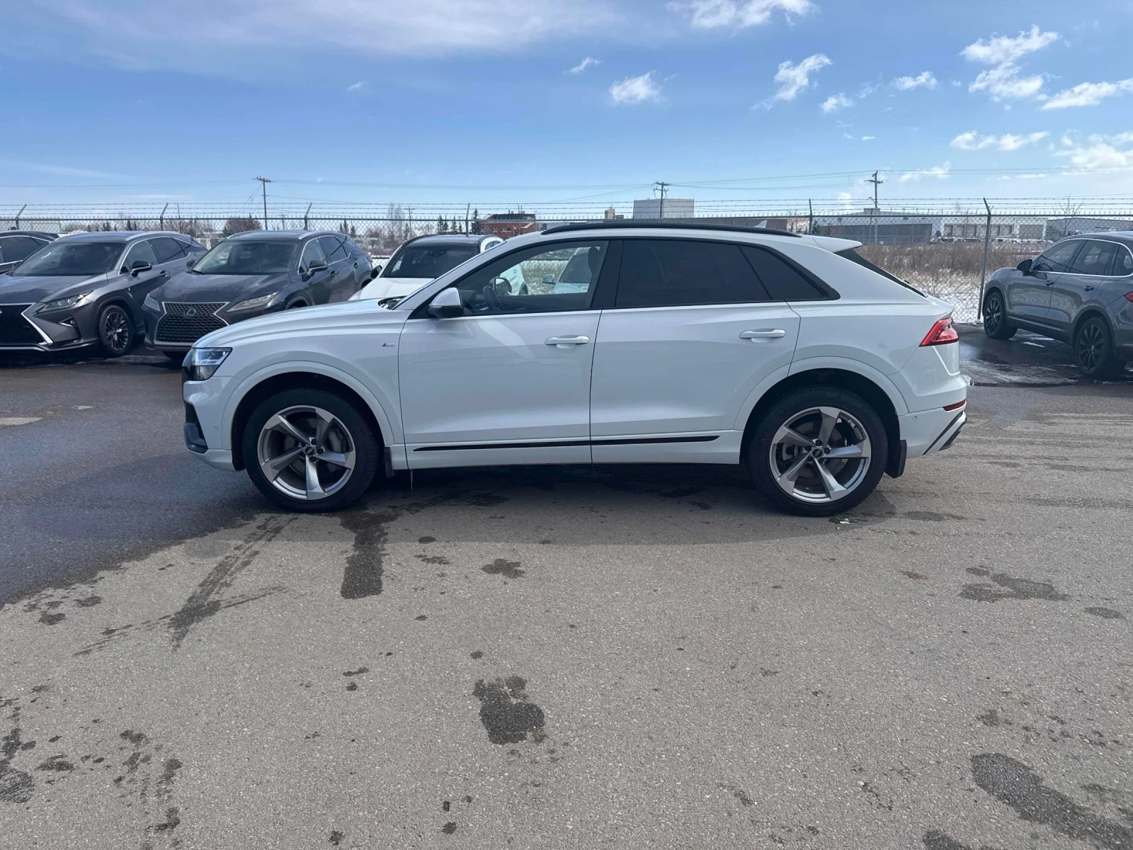 Audi Q8 PROGRESSIV * CAR FAX * ���� ������ * ���� �� ����� | Mobile.bg � ����������� 3