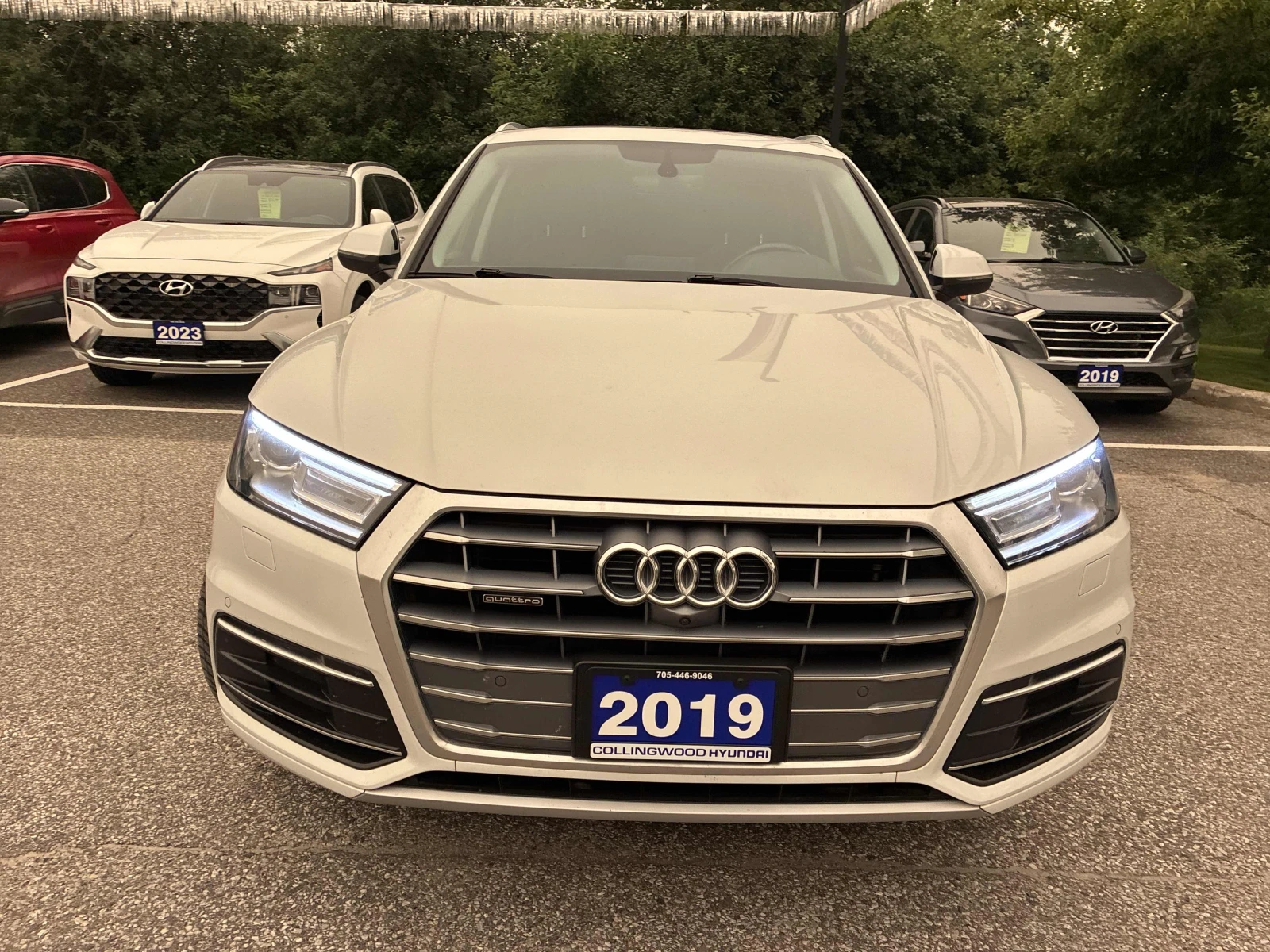 Audi Q5, снимка 6 - Автомобили и джипове - 55689589