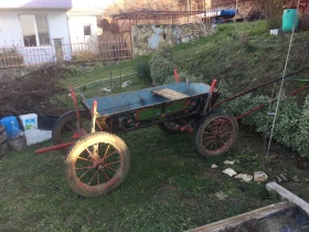 Друг вид Български, снимка 2