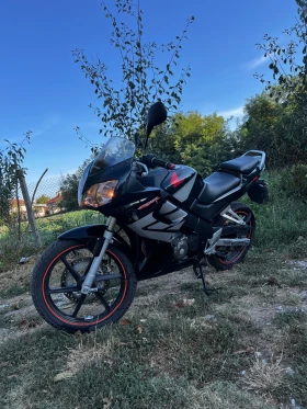  Honda Cbr