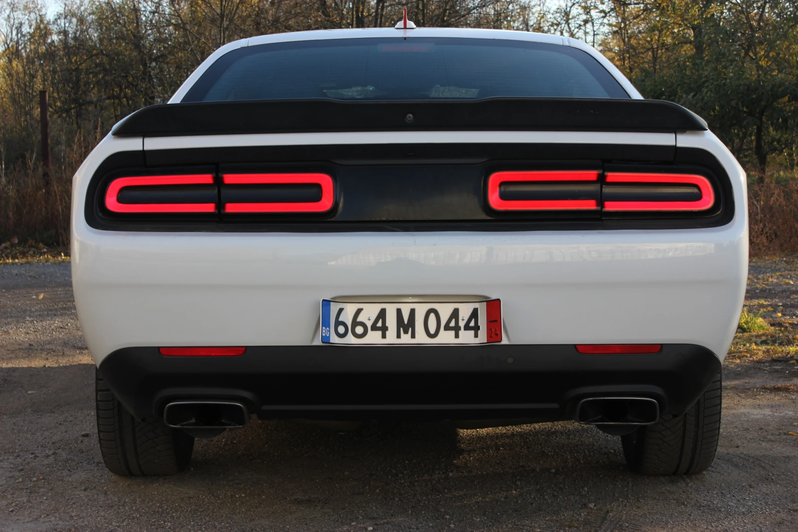 Dodge Challenger R/T - изображение 6