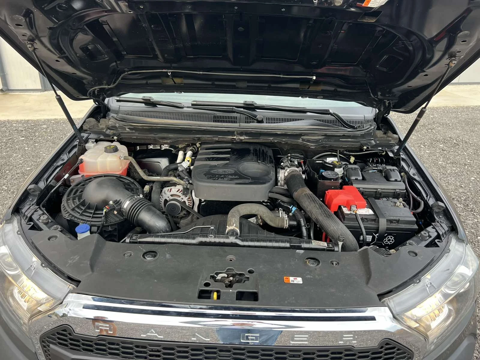 Ford Ranger 2.2DCTI 4x4 XL | Mobile.bg   11