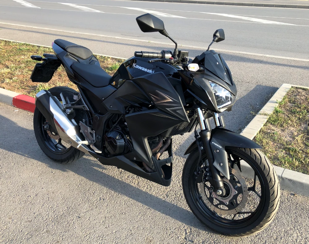 Kawasaki Z 300 - изображение 2