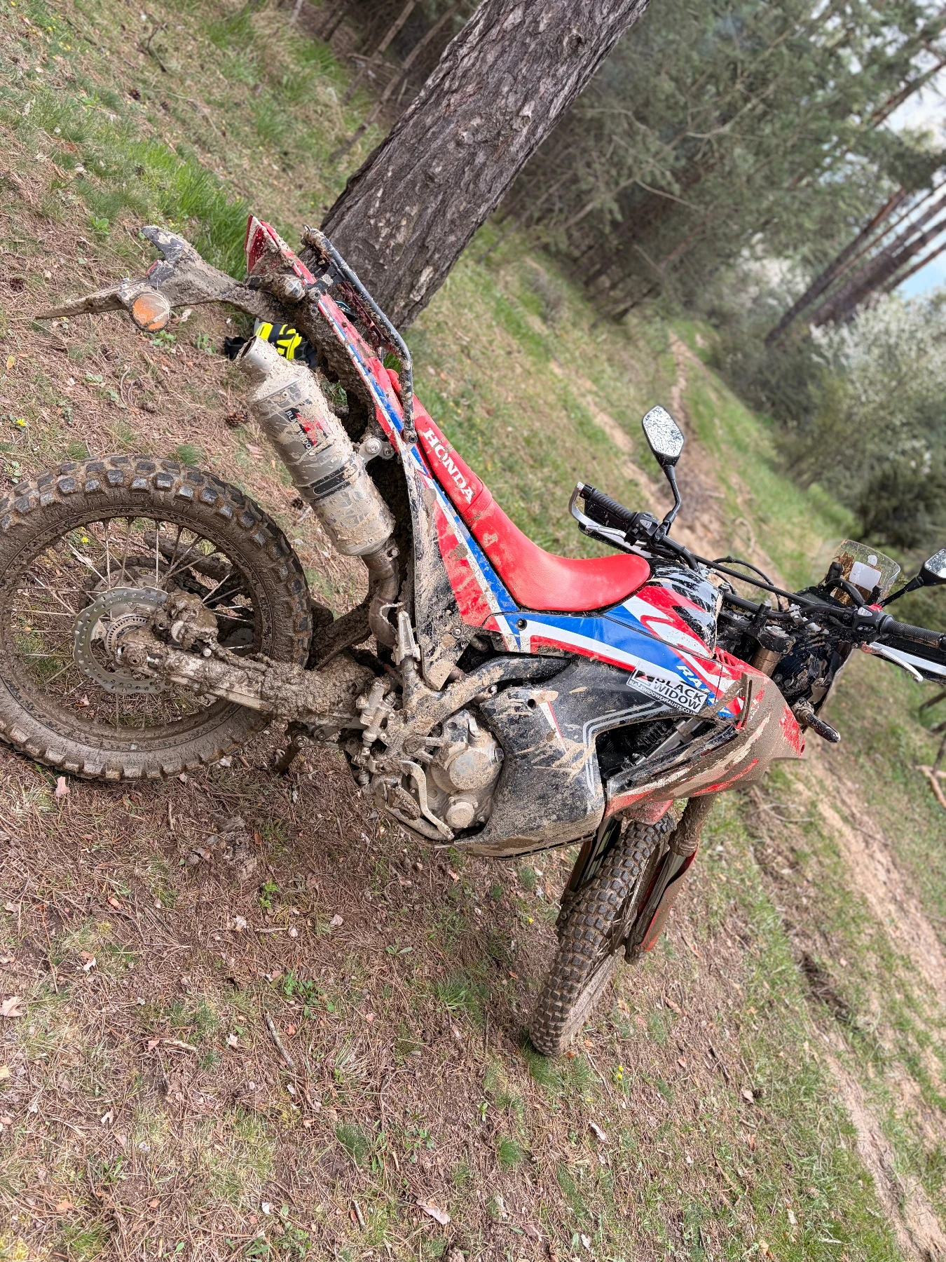 Honda Crf 300 rally
