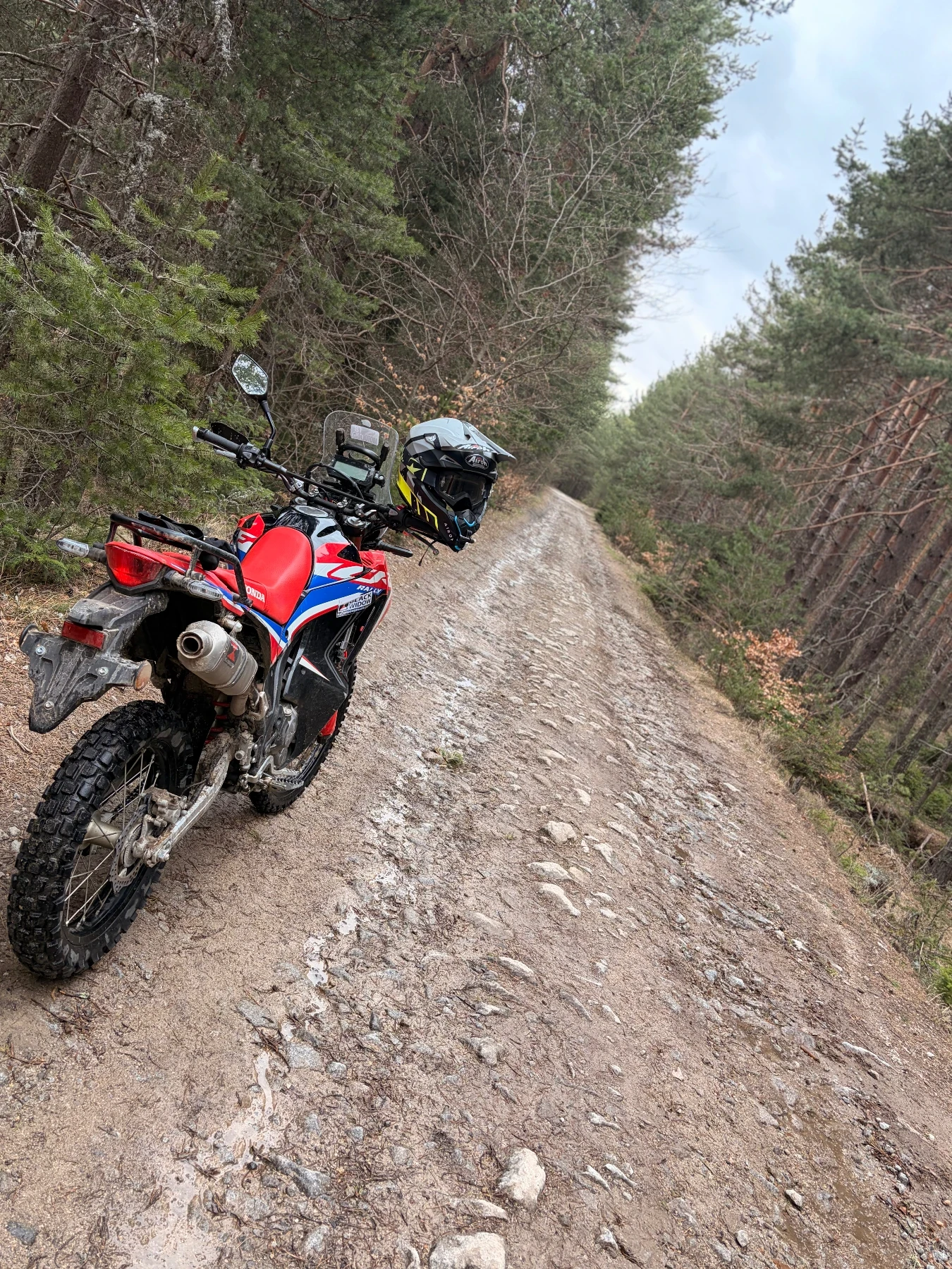 Honda Crf 300 rally, снимка 4 - Мотоциклети и мототехника - 54682748