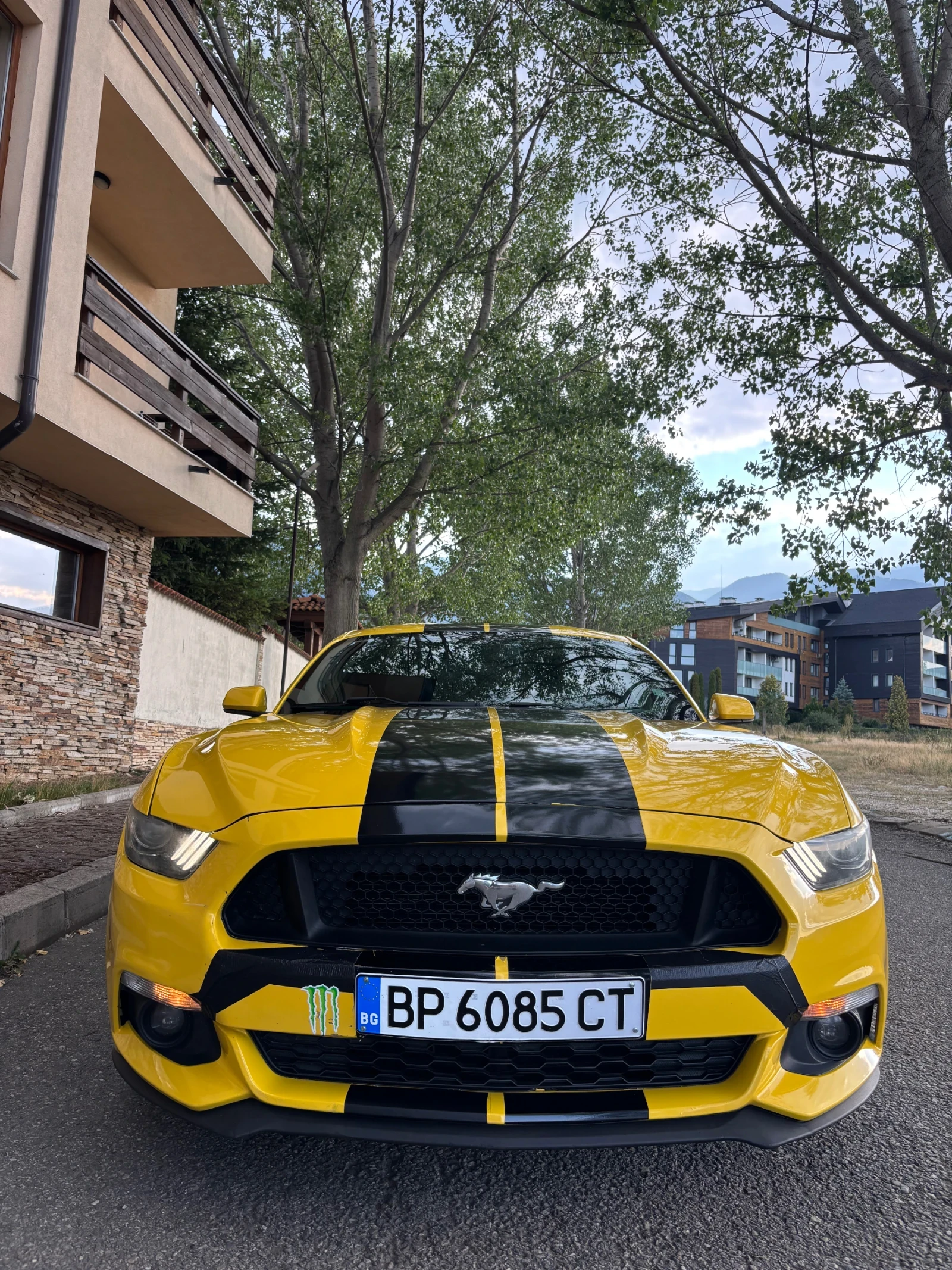 Ford Mustang, снимка 11 - Автомобили и джипове - 55579999