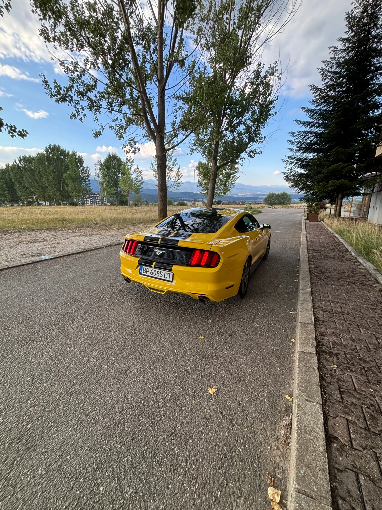 Ford Mustang, снимка 4 - Автомобили и джипове - 55579999