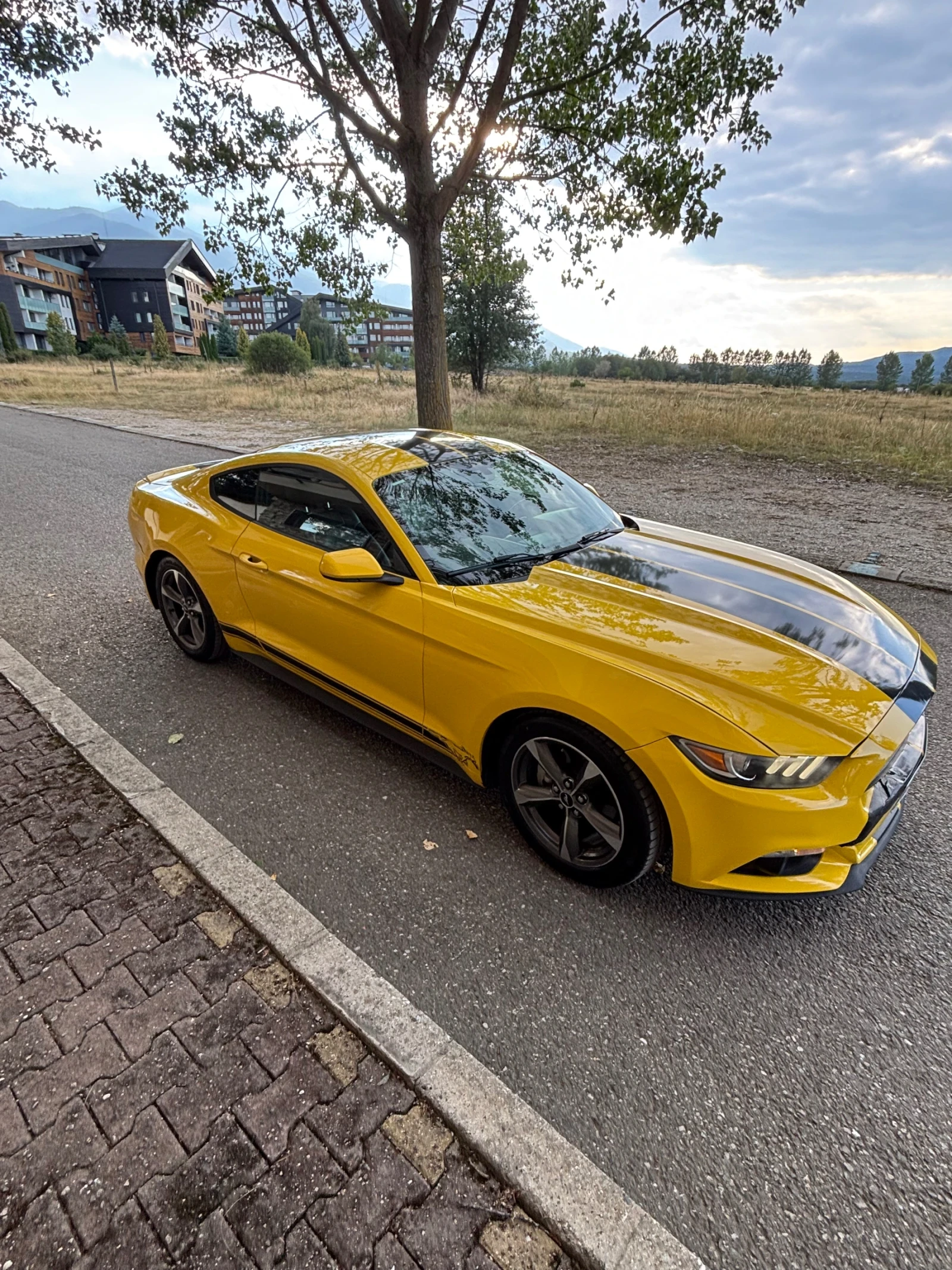 Ford Mustang