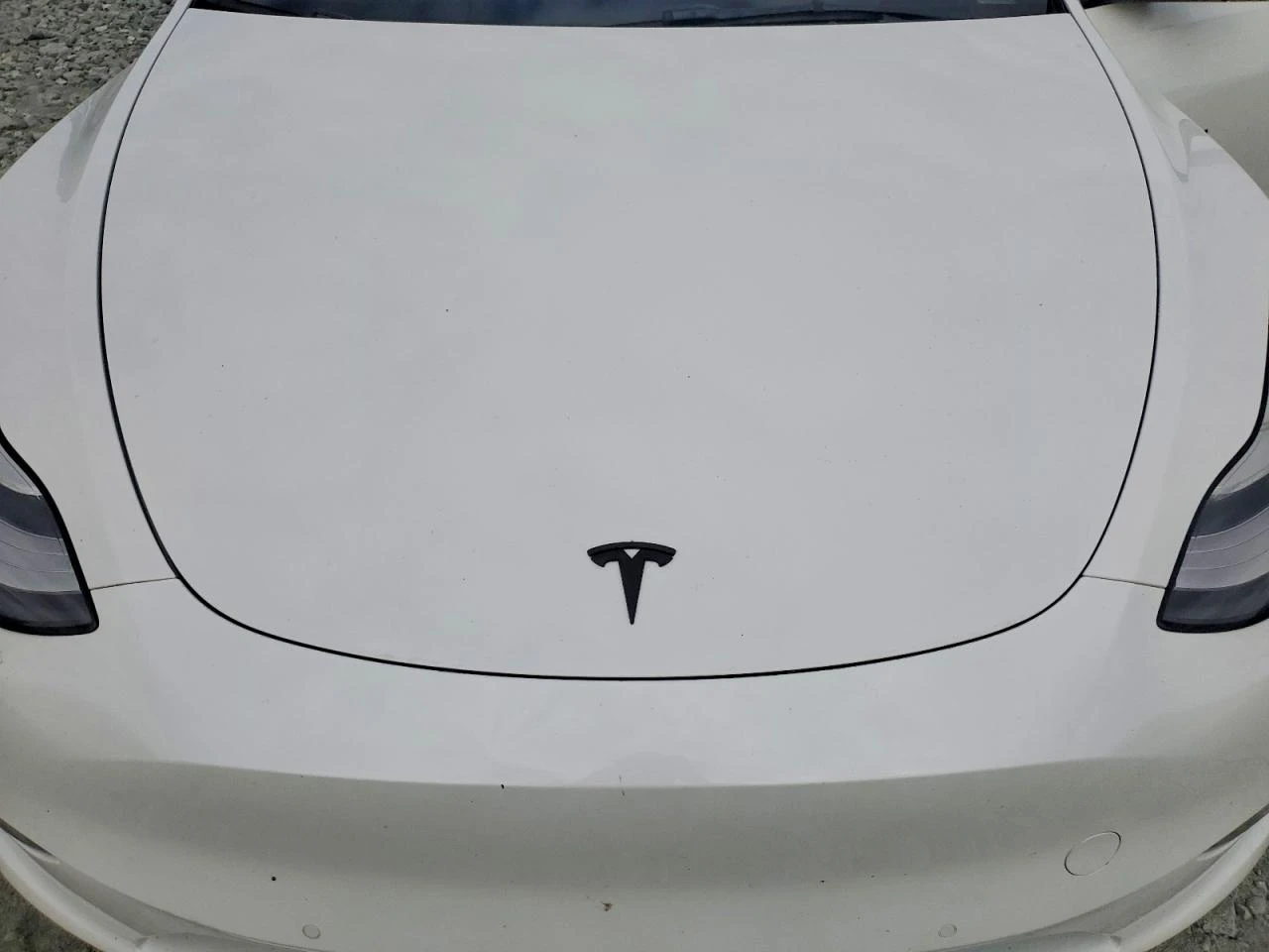 Tesla Model Y LONG RANGE DUAL MOTOR AWD ТЕРМОПОМПА* FSD3* , снимка 12 - Автомобили и джипове - 55651975
