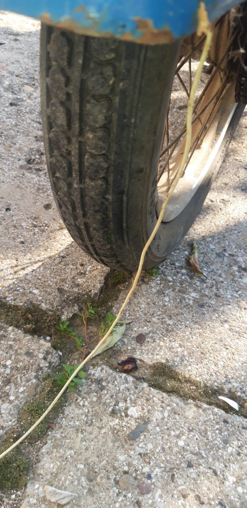 Simson 50, снимка 15 - Мотоциклети и мототехника - 49726346