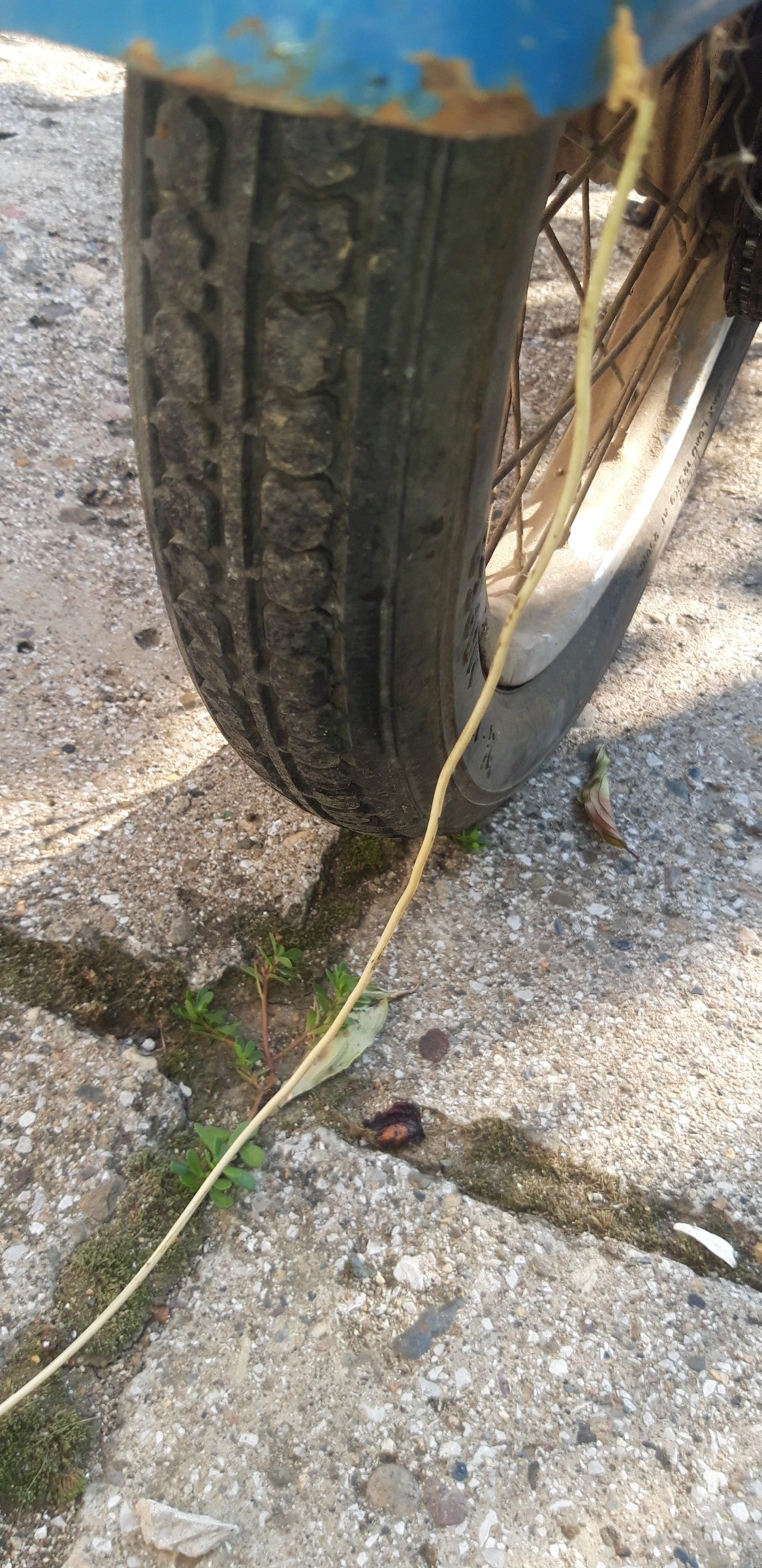 Simson 50 | Mobile.bg   15