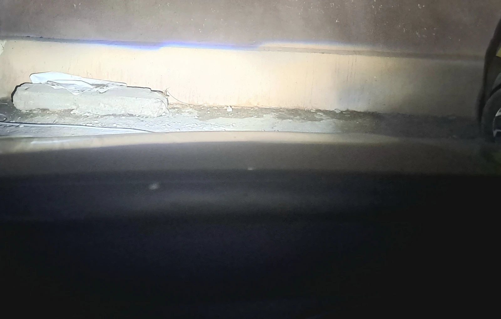 Seat Leon 1.5 TGI St | Mobile.bg   16