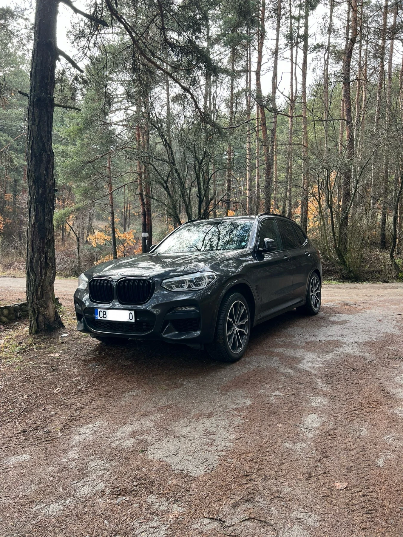 BMW X3 30i M SPORT / PANORAMIC / FULL SERVICE, снимка 6 - Автомобили и джипове - 54163982