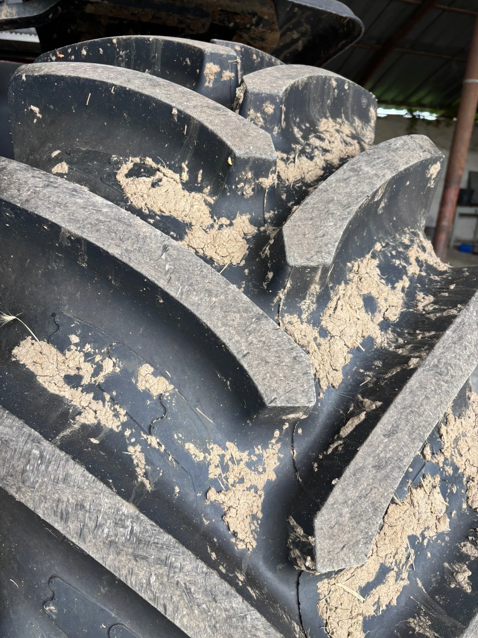 ������� CASE IH Magnum290 | Mobile.bg � ����������� 8