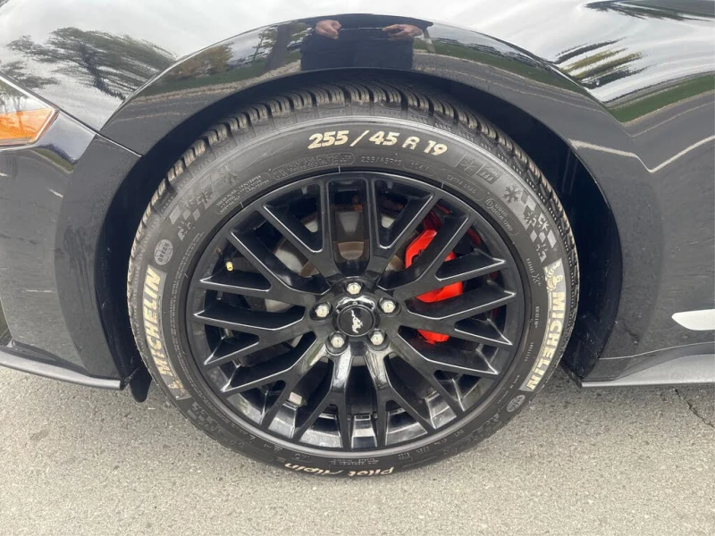 Ford Mustang EcoBoost Coupe RWD* АвтоКредит* (ЦЕНА ДО БГ), снимка 14 - Автомобили и джипове - 53133970