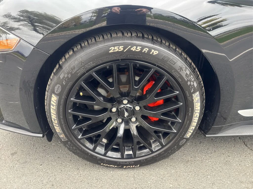 Ford Mustang EcoBoost Coupe RWD* ����������* (���� �� ��) | Mobile.bg � ����������� 14