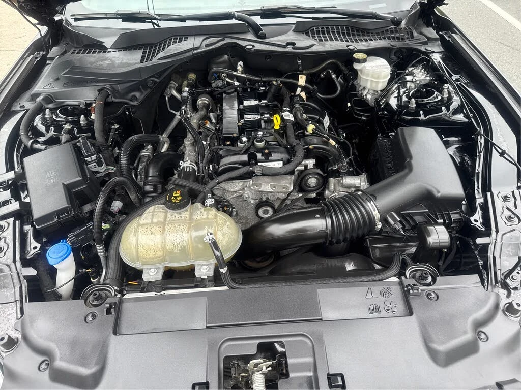 Ford Mustang EcoBoost Coupe RWD* ����������* (���� �� ��) | Mobile.bg � ����������� 15