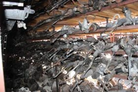 КОРМИЛНИ РЕЙКИ , снимка 3