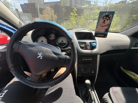 Peugeot 207, снимка 11 - Автомобили и джипове - 55832837
