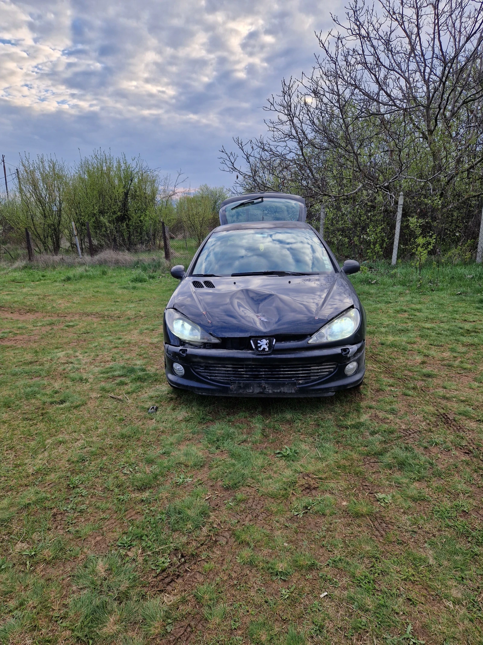 Peugeot 206 1.6 бензин - изображение 2