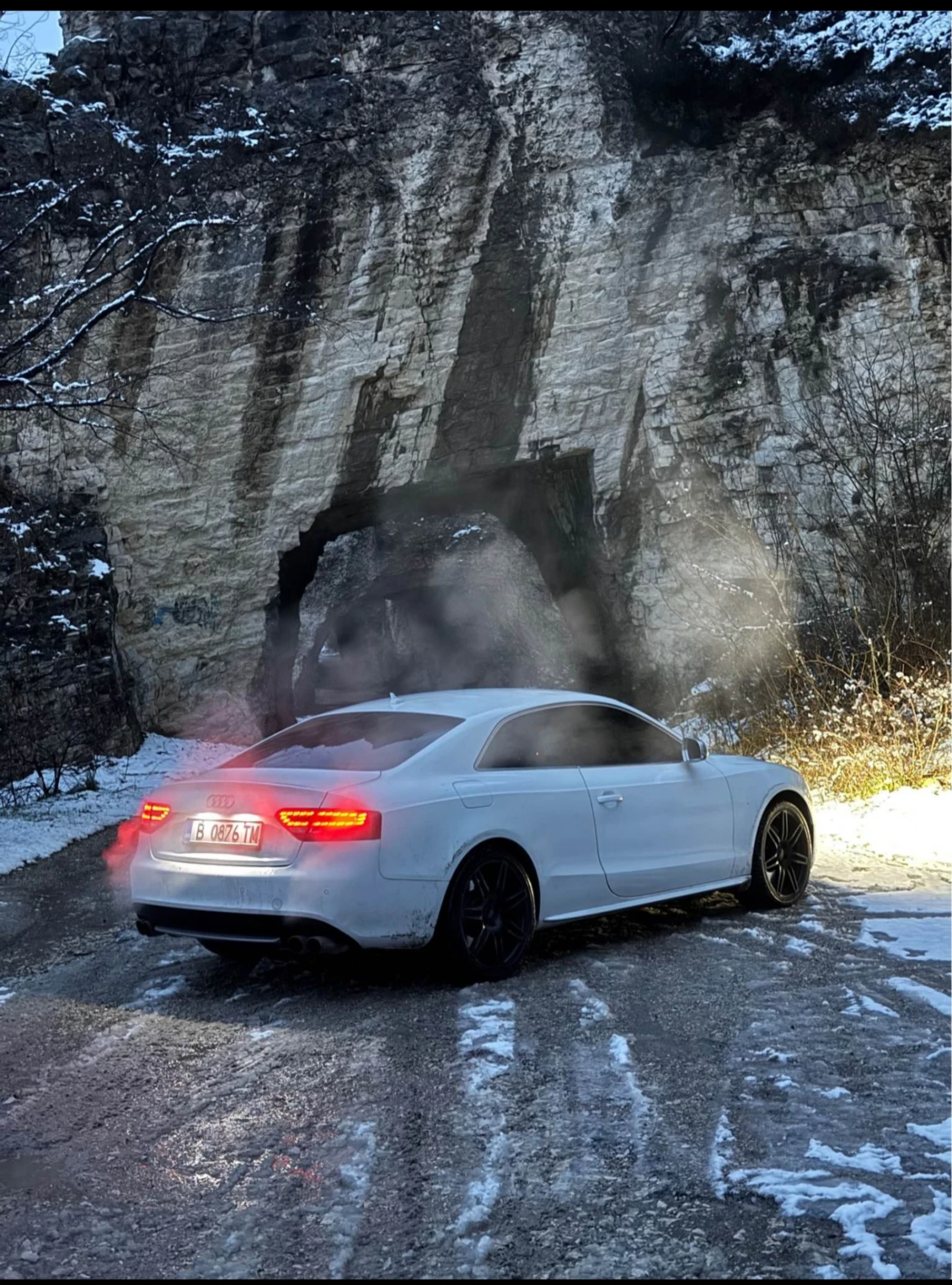 Audi S5, снимка 4 - Автомобили и джипове - 54115295